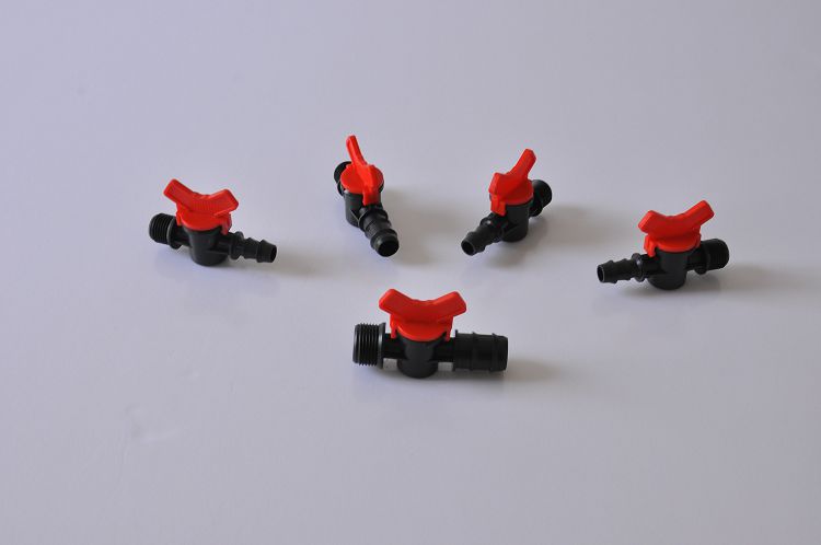 ˮ��������С����