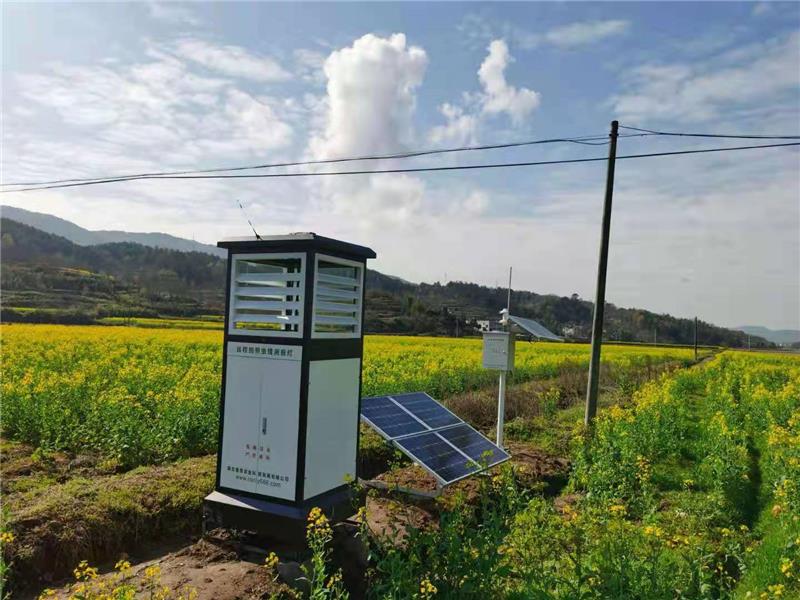 ����ⱨ��