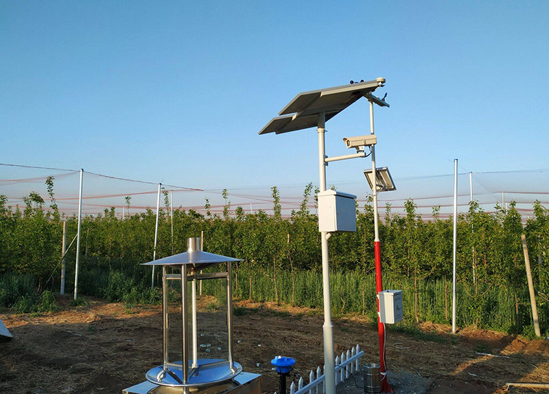 ����ⱨ��