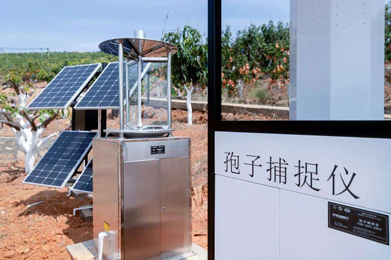 ���Ӽ����